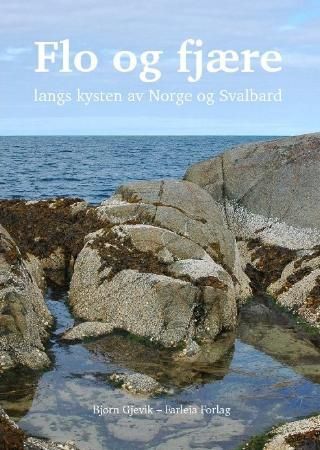 Flo og fjære 9788299803106 Bjørn Gjevik Brukte bøker