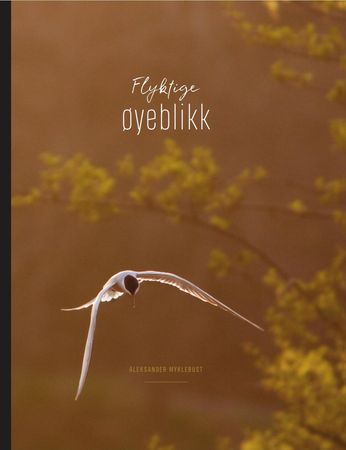 Flyktige øyeblikk 9788270074785 Aleksander Myklebust Brukte bøker