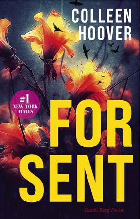 For sent 9788284320106 Colleen Hoover Brukte bøker