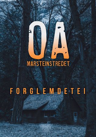 Forglemdetei 9788293926399 Odd Arne Støstad Marsteinstredet Brukte bøker