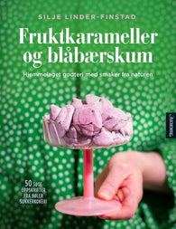 Fruktkarameller og blåbærskum 9788203397110 Silje Linder-Finstad Brukte bøker