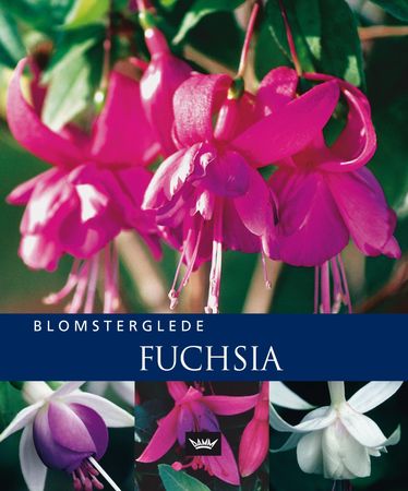 Fuchsia 9788204092809 Richard Rosenfeld Brukte bøker