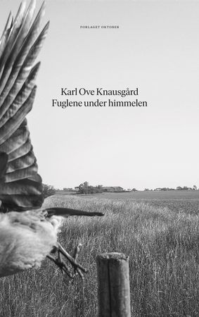 Fuglene under himmelen 9788249521234 Karl Ove Knausgård Brukte bøker
