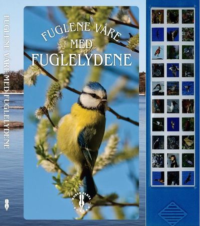 Fuglene våre 9788278884249 Pertti Koskimies Brukte bøker