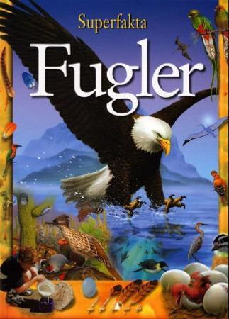 Fugler 9788205280298 Edward S. Brinkley Brukte bøker