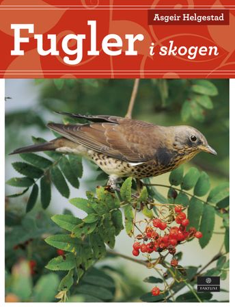 Fugler i skogen 9788202409982 Asgeir Helgestad Brukte bøker