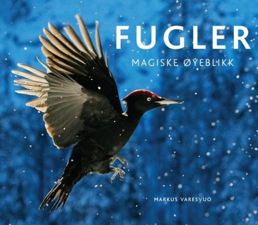 Fugler - magiske øyeblikk 9788281733596 Markus Varesvuo Brukte bøker