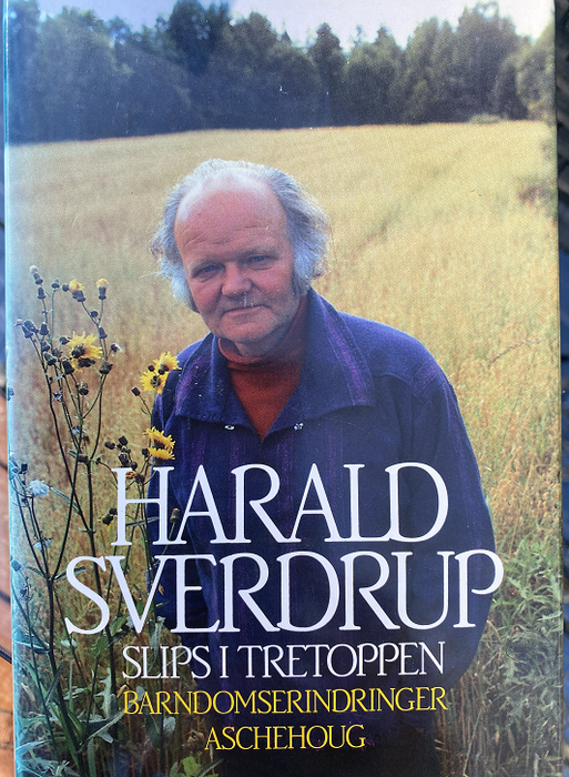 Slips i tretoppen (Innbundet) - Bokia.no