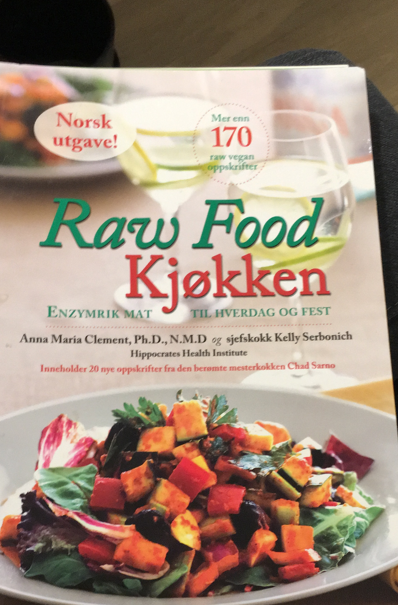 Raw food kjøkken - Bokia.no