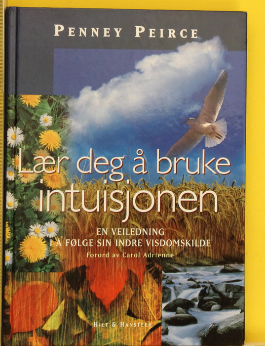 Lær deg å bruke intuisjonen (Innbundet) - Bokia.no