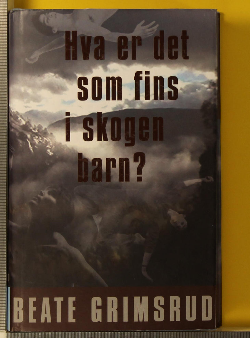 Mannen med masken (Pocket) - Bokia.no