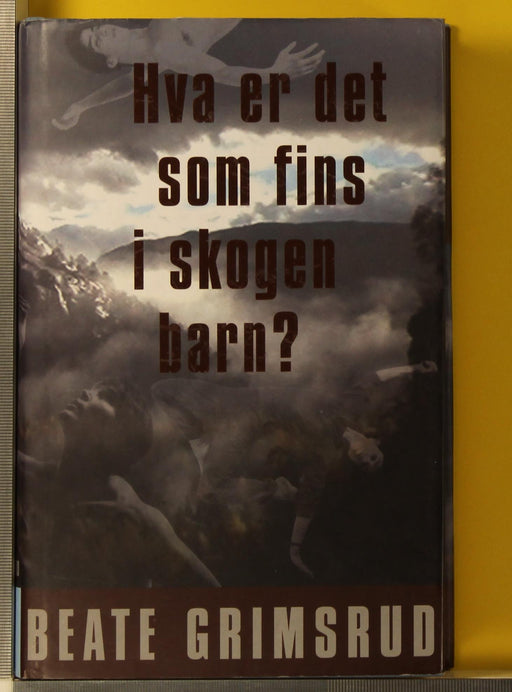 Mannen med masken (Pocket) - Bokia.no