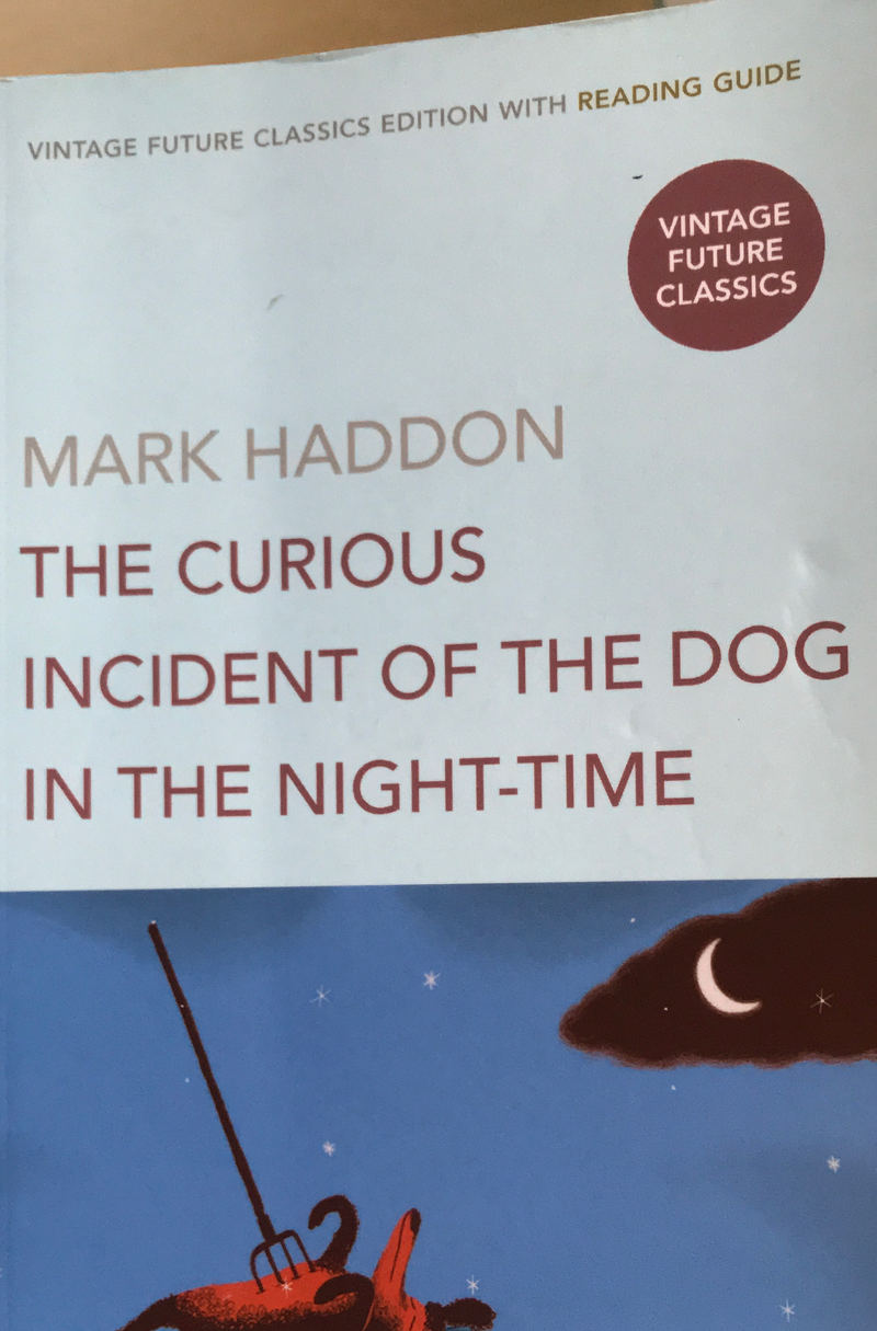 The Curious Incident of the Dog in the Night-time (Pocket) - Bokia.no