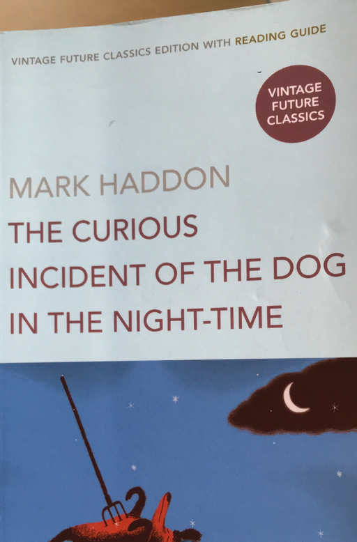 The Curious Incident of the Dog in the Night-time (Pocket) - Bokia.no