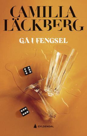 Gå i fengsel 9788205555983 Camilla Läckberg Brukte bøker