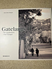 Gatelangs 9788299883405 Anne Mette Bjørgan Brukte bøker