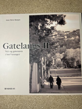Gatelangs 9788299883405 Anne Mette Bjørgan Brukte bøker