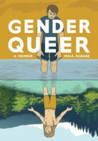 Gender queer 9781549304002 Maia Kobabe Brukte bøker