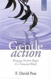 Gentle Action 9788895604039 F. David Peat Brukte bøker