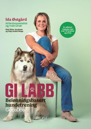 Gi labb 9788242976451 Ida Østgård Brukte bøker