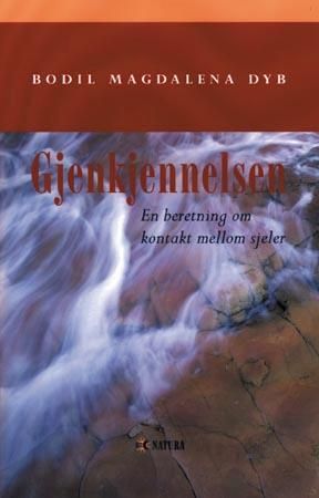 Gjenkjennelsen 9788210044083 Bodil Magdalena Dyb Brukte bøker