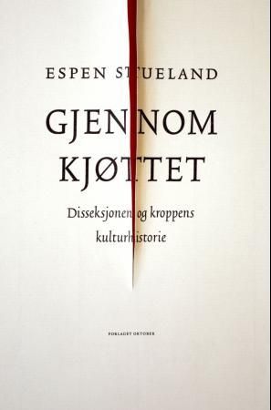 Gjennom kjøttet 9788249502813 Espen Stueland Brukte bøker