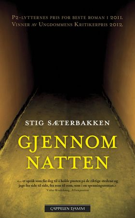 Gjennom natten 9788202538095 Stig Sæterbakken Brukte bøker