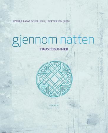 Gjennom natten 9788254311417  Brukte bøker