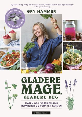 Gladere mage, gladere deg 9788202742973 Gry Hammer Brukte bøker