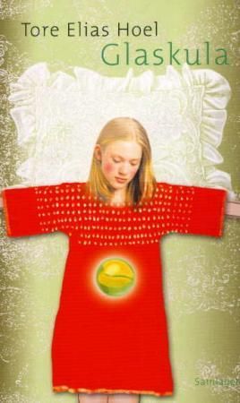 Glaskula 9788252158076 Tore Elias Hoel Brukte bøker