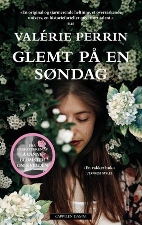 Glemt på en søndag 9788202759032 Valérie Perrin Brukte bøker