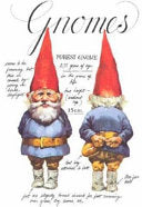 Gnomes 9780810909656 Wil Huygen Brukte bøker