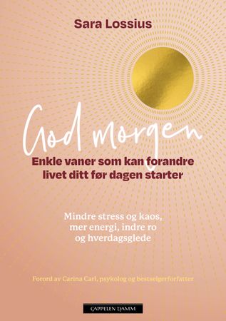 God morgen 9788202742300 Sara Lossius Brukte bøker