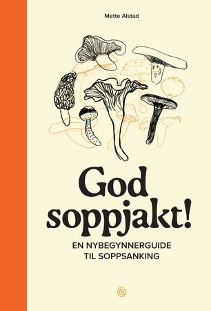 God soppjakt! 9788248935704 Mette Alstad Brukte bøker