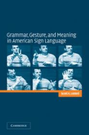 Grammar, Gesture, and Meaning in American Sign Language 9780521016506 Scott K. Liddell Brukte bøker