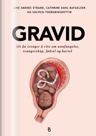 Gravid 9788284190402   Cathrine Dahl Rafaelsen Line Smenes Strand Brukte bøker