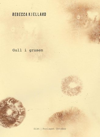 Gull i grusen 9788249519194 Rebecca Kjelland Brukte bøker