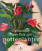 Gyldendals store bok om potteplanter 9788205384408 Katarina Stenman Anders Wennström Brukte bøker