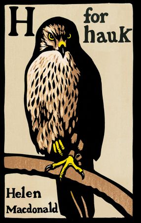 H for hauk 9788275477918 Helen Macdonald Brukte bøker