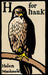 H for hauk 9788275477918 Helen Macdonald Brukte bøker