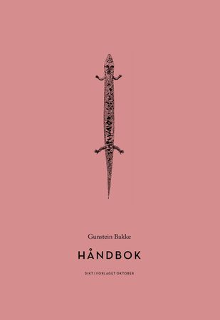 Håndbok 9788249519811 Gunstein Bakke Brukte bøker