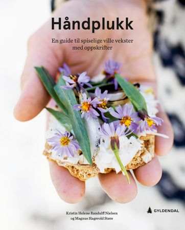 Håndplukk 9788205545274 Kristin Helene Randulff Nielsen Magnus Slagsvold Støre Brukte bøker