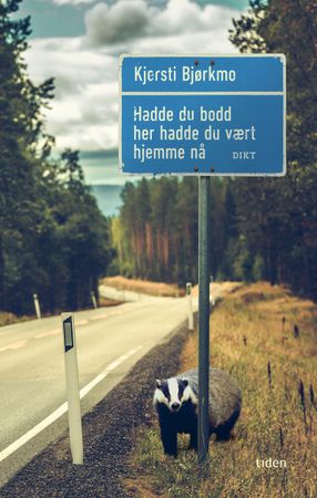 Hadde du bodd her hadde du vært hjemme nå 9788210057359 Kjersti Bjørkmo Brukte bøker