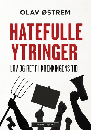 Hatefulle ytringer 9788202712679 Olav Østrem Brukte bøker