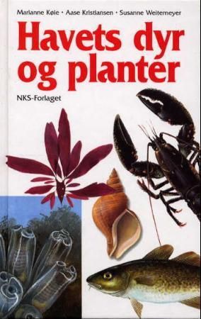 Havets dyr og planter 9788250819283 Aase Kristiansen Marianne Køie Brukte bøker