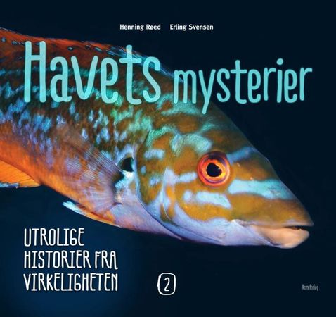 Havets mysterier 2 9788293191315 Henning Røed Brukte bøker