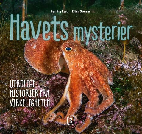 Havets mysterier 3 9788293191360 Henning Røed Brukte bøker