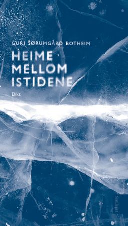 Heime mellom istidene 9788252188226 Guri Sørumgård Botheim Brukte bøker