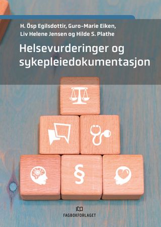 Helsevurderinger og sykepleiedokumentasjon 9788245021424   Guro-Marie Eiken Liv Helene Jensen Hilde S. Plathe Brukte bøker