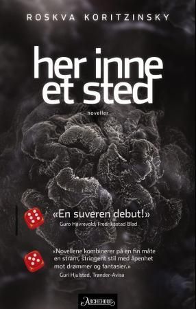 Her inne et sted 9788203354656 Roskva Koritzinsky Brukte bøker